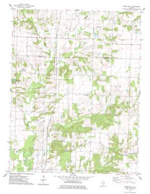 Todds Mill USGS topographic map 38089b3