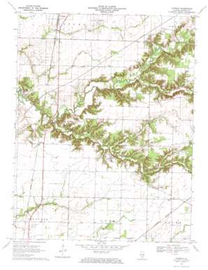Fairman topo map