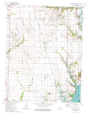 Pleasant Mound USGS topographic map 38089g3