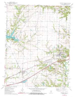 Mulberry Grove USGS topographic map 38089h3