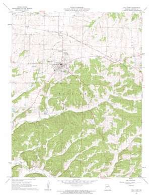 Cole Camp USGS topographic map 38093d2