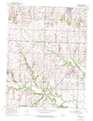 Auburn topo map