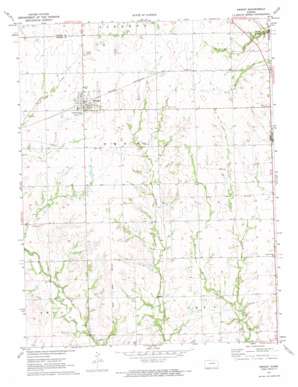 Dwight USGS topographic map 38096g5