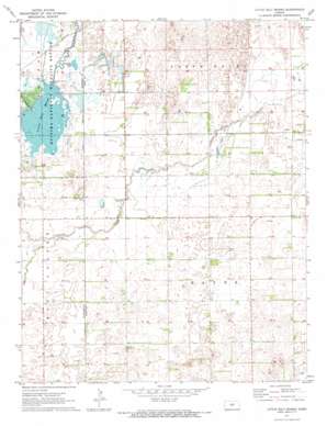 Little Salt Marsh USGS topographic map 38098a4
