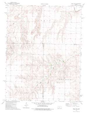 Healy Nw topo map