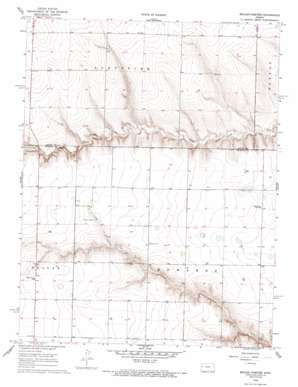 Russell Springs 3 Ne USGS topographic map 38101f3