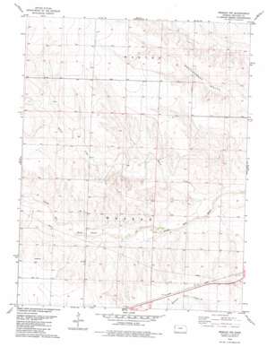Weskan Nw USGS topographic map 38101h8