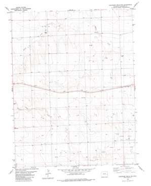 Cheyenne Wells SW USGS topographic map 38102g4