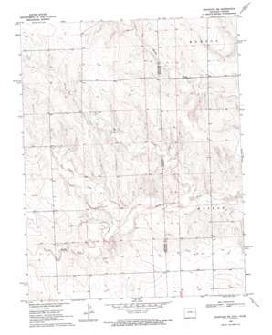 Arapahoe Ne USGS topographic map 38102h1