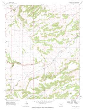 Muldoon Hill topo map