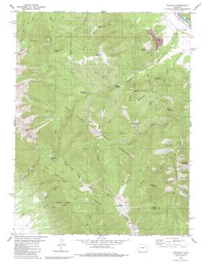 Coaldale topo map