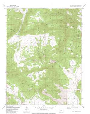 Rice Mountain USGS topographic map 38105e3