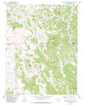 Thirtyone Mile Mountain USGS topographic map 38105f5