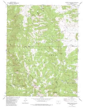 Cameron Mountain USGS topographic map 38105f8