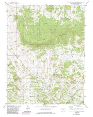 Thirtynine Mile Mountain USGS topographic map 38105g5