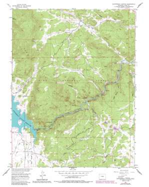 Elevenmile Canyon USGS topographic map 38105h4