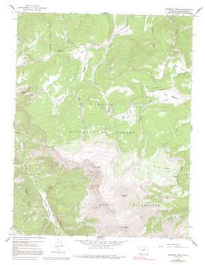 Stewart Peak USGS topographic map 38106a8