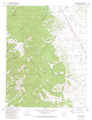 Whale Hill topo map