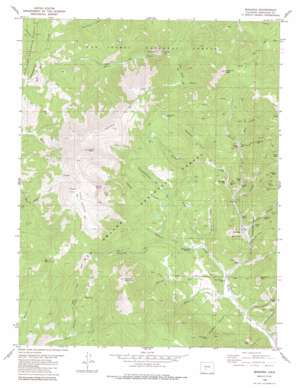 Whale Hill USGS topographic map 38106c2