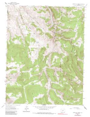 Spring Hill Creek topo map