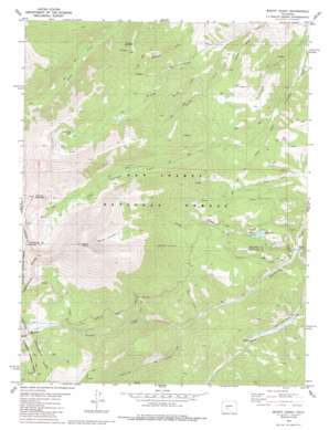 Mount Ouray topo map