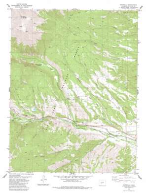 Maysville USGS topographic map 38106e2
