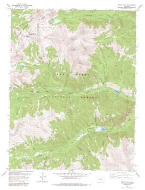 Mount Yale topo map