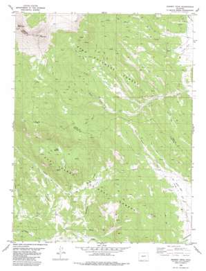 Marmot Peak USGS topographic map 38106h1