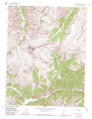 Uncompahgre Peak USGS topographic map 38107a4