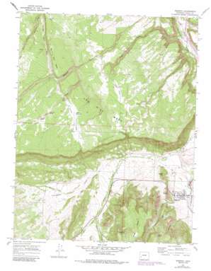 Ridgway USGS topographic map 38107b7