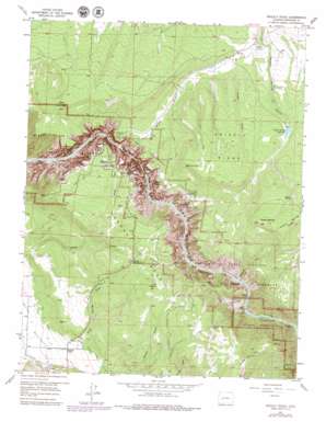 Grizzly Ridge USGS topographic map 38107e6