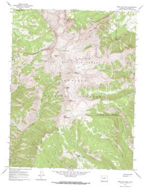 West Elk Peak topo map