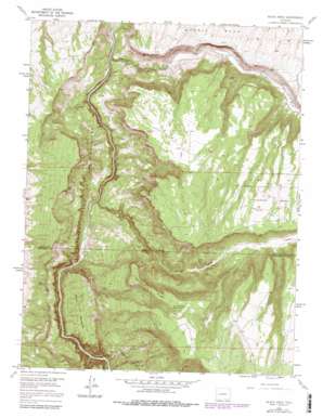 Black Ridge USGS topographic map 38107f7