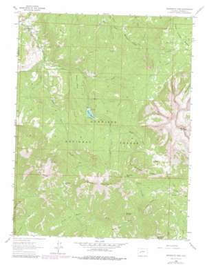 Minnesota Pass USGS topographic map 38107g4