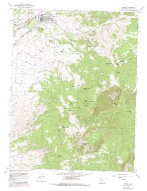 Paonia USGS topographic map 38107g5