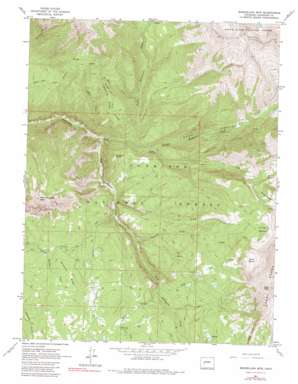 Marcellina Mountain USGS topographic map 38107h2