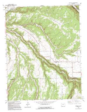 Big Bucktail Creek USGS topographic map 38108b4