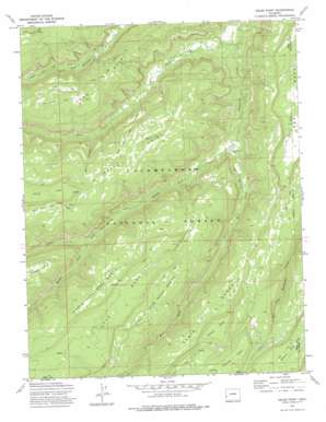 Kelso Point topo map