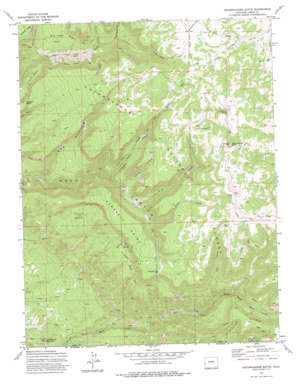 Uncompahgre Butte topo map