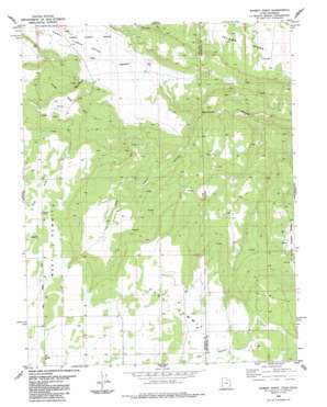 Summit Point USGS topographic map 38109a1