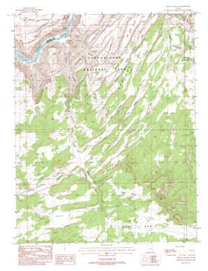 Cross Canyon USGS topographic map 38109a8