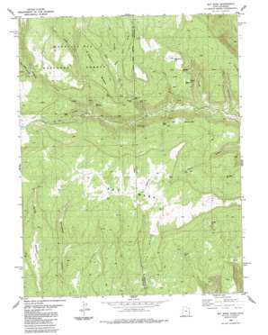 Ray Mesa USGS topographic map 38109c1