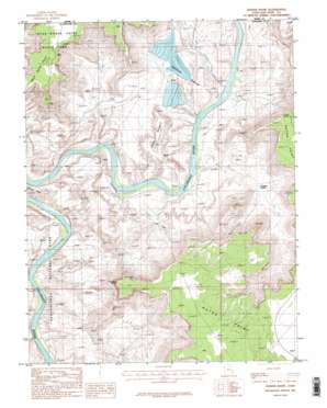 Shafer Basin topo map