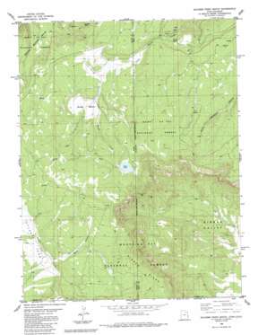 Dolores Point South topo map