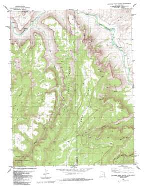 Dolores Point North topo map