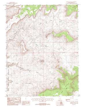 Fiddler Butte USGS topographic map 38110a3