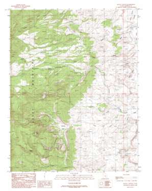 Raggy Canyon USGS topographic map 38110a6