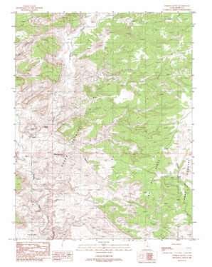 Tomsich Butte topo map