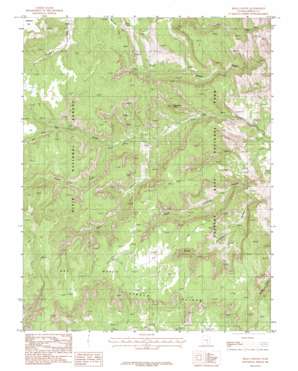 Bear Canyon USGS topographic map 38111a2
