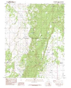 Government Point topo map